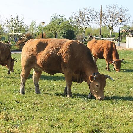 מלון Maturana Agroturismo La Casa Vieja מראה חיצוני תמונה