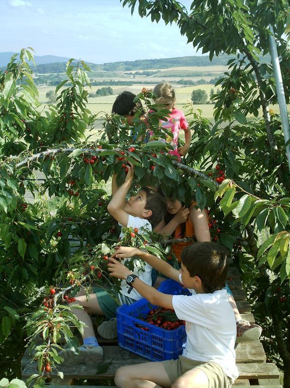 מלון Maturana Agroturismo La Casa Vieja מראה חיצוני תמונה