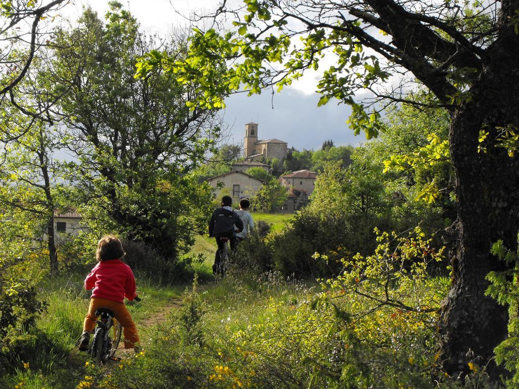 מלון Maturana Agroturismo La Casa Vieja מראה חיצוני תמונה