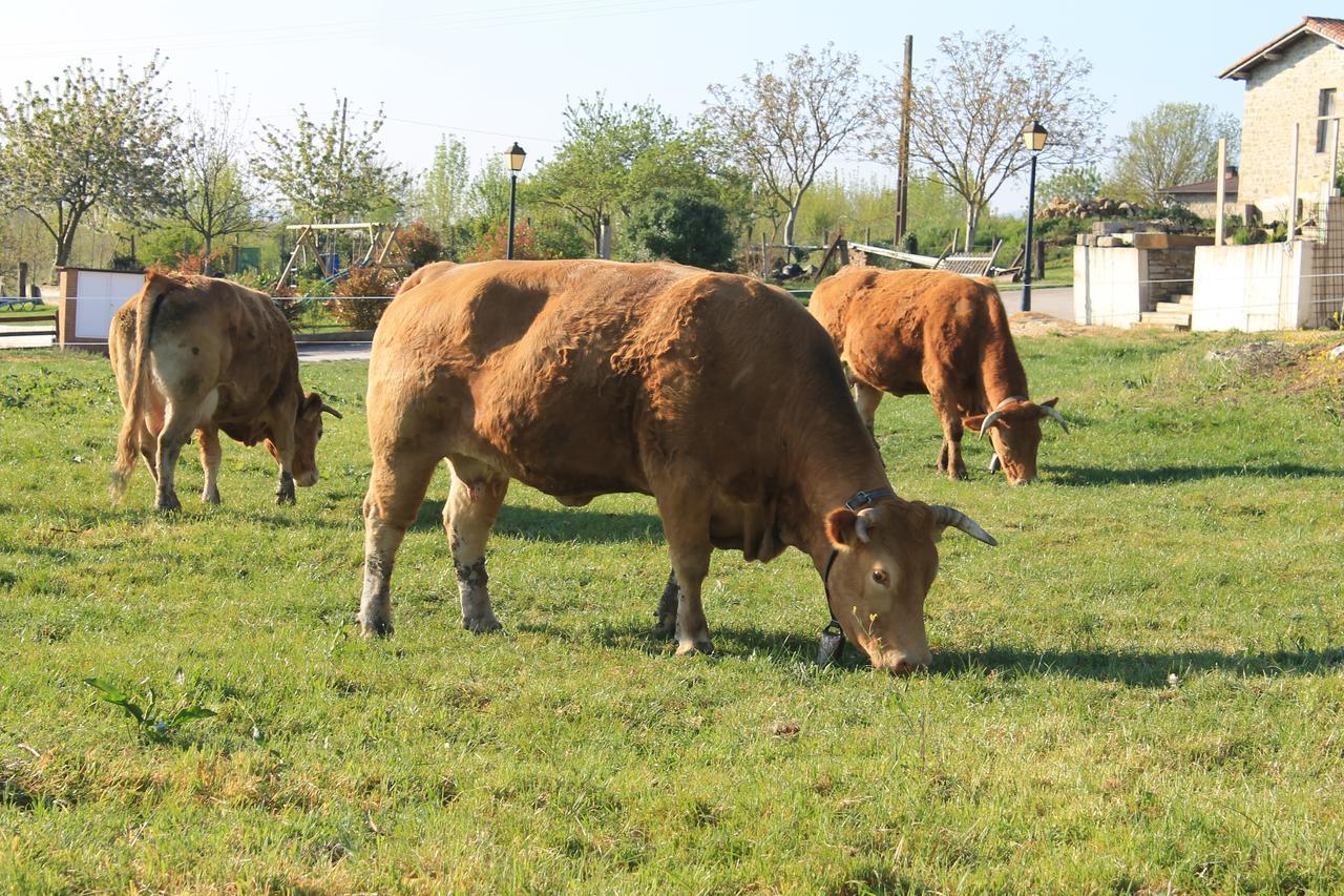 מלון Maturana Agroturismo La Casa Vieja מראה חיצוני תמונה