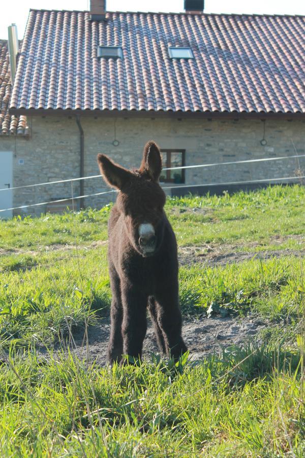 מלון Maturana Agroturismo La Casa Vieja מראה חיצוני תמונה